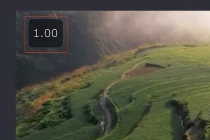 Video Speed Controller