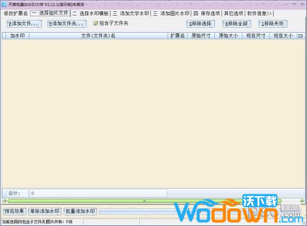 天音批量加水印大师